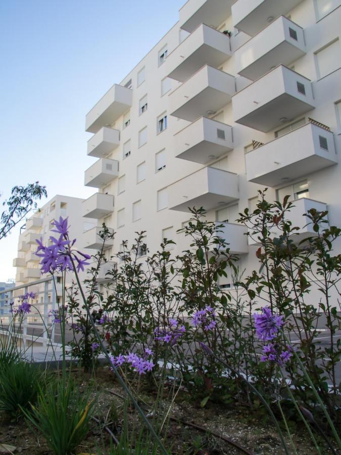 Luce Gold Apartment Zadar Exteriér fotografie